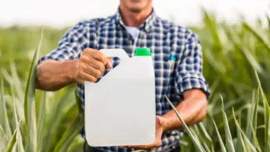 Qual a quantidade de Roundup granulado para 20 litros de água